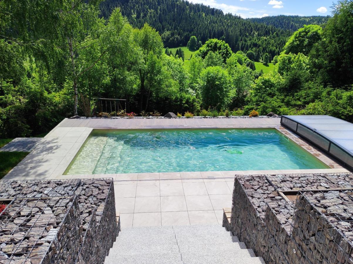 Le Cerf, Chalet Cocooning Avec Piscine Et Billard Ban-sur-Meurthe-Clefcy Extérieur photo