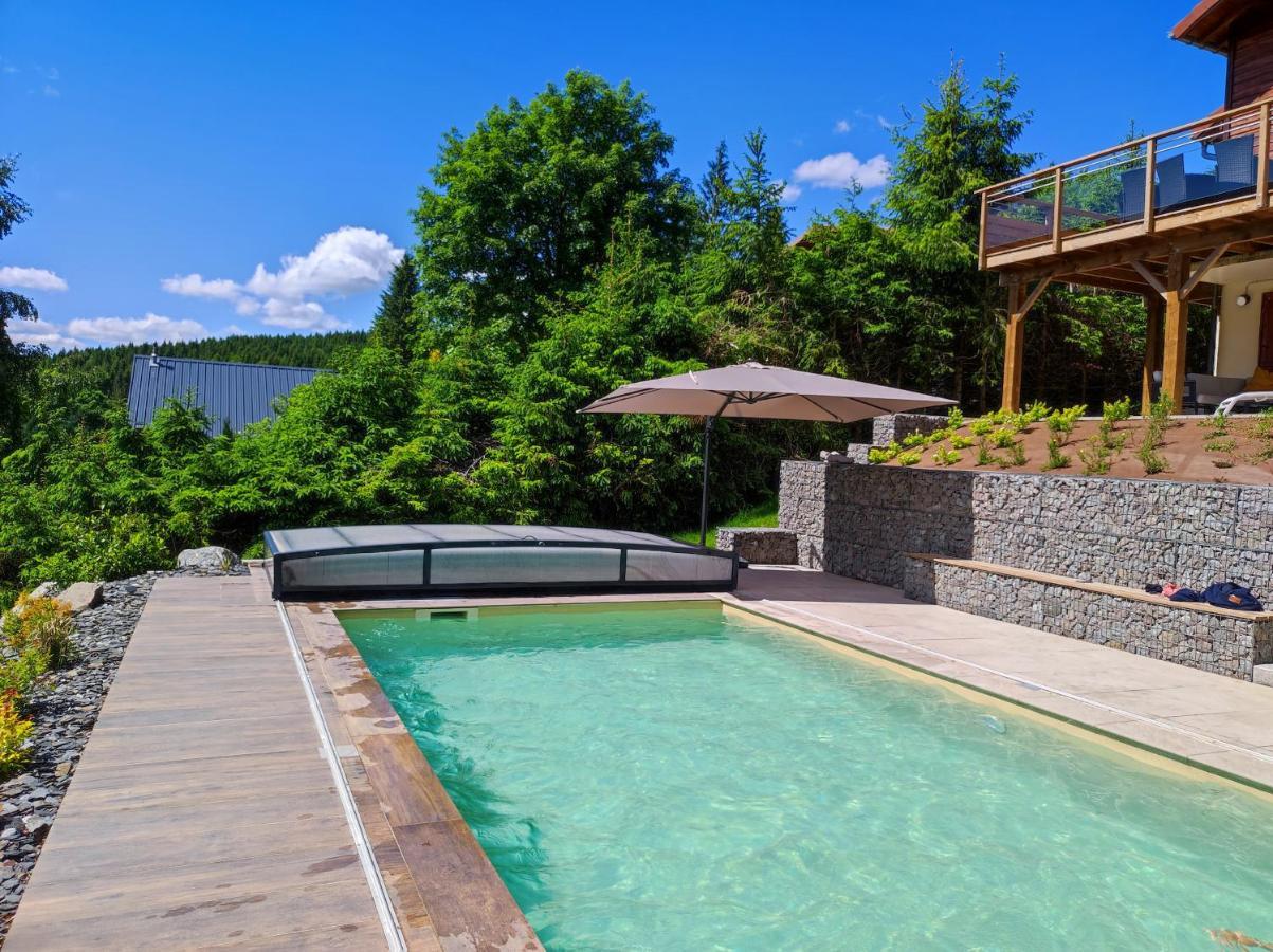 Le Cerf, Chalet Cocooning Avec Piscine Et Billard Ban-sur-Meurthe-Clefcy Extérieur photo