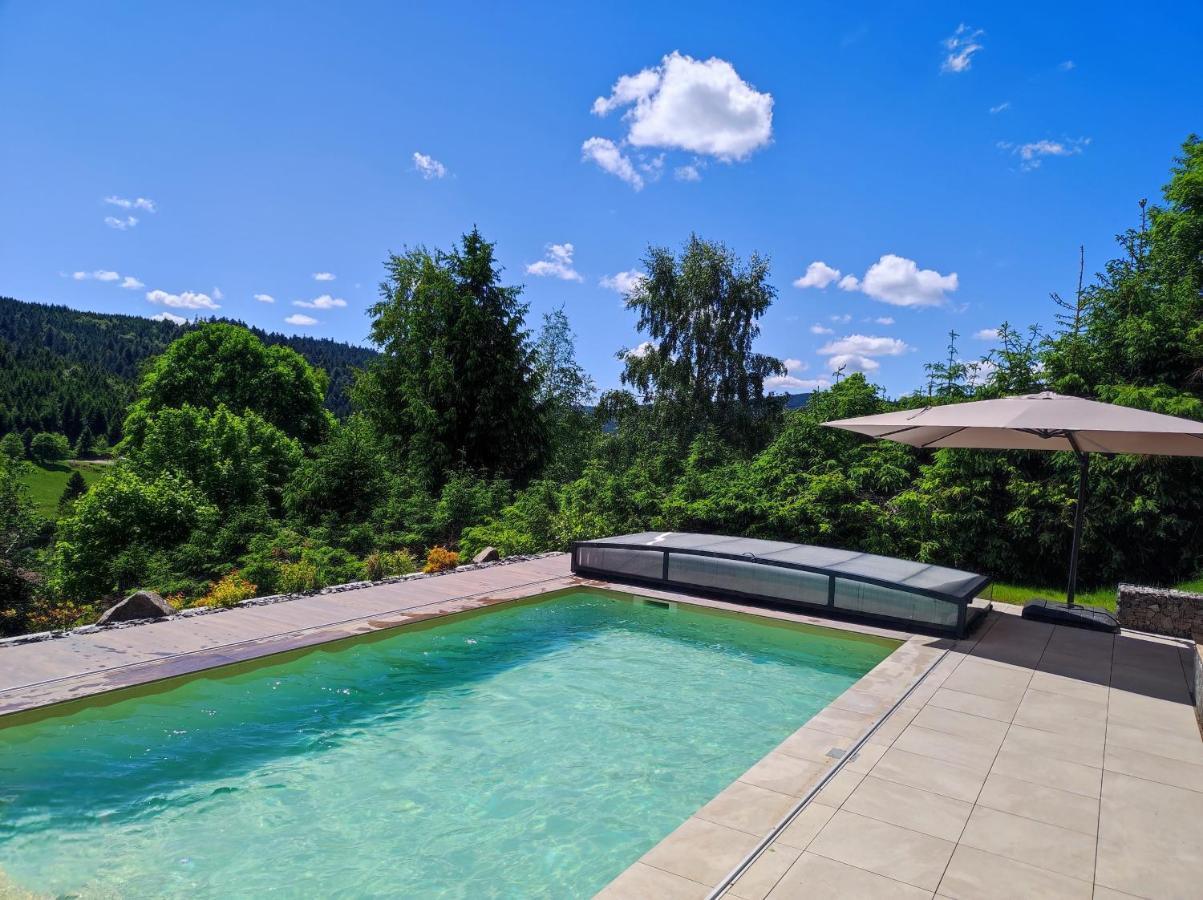 Le Cerf, Chalet Cocooning Avec Piscine Et Billard Ban-sur-Meurthe-Clefcy Extérieur photo